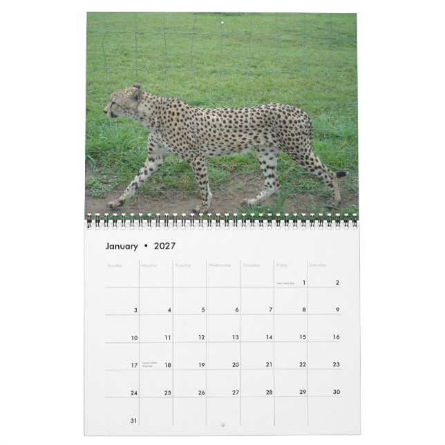 Mural Calendrier Cheetah 2014 (Jan 2027)
