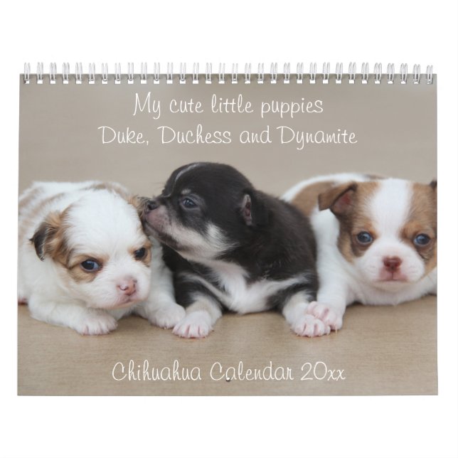 Mural Calendrier Chihuahua 2026 Avec Photos (Protection)