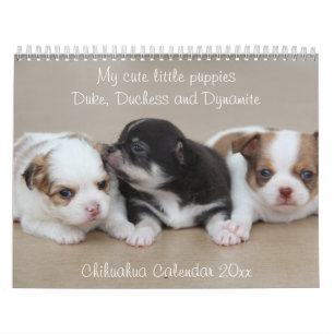Mural Calendrier Chihuahua 2026 Avec Photos