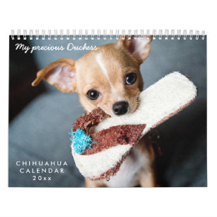 Mural Calendrier Chihuahua 2026 Vos Photos Pour Animaux