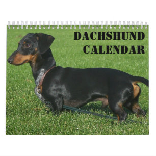 Mural Calendrier Dachshund Avec Vos Photos