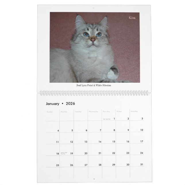 Mural Calendrier de 2014 de Sibériens chats et de (Jan 2026)