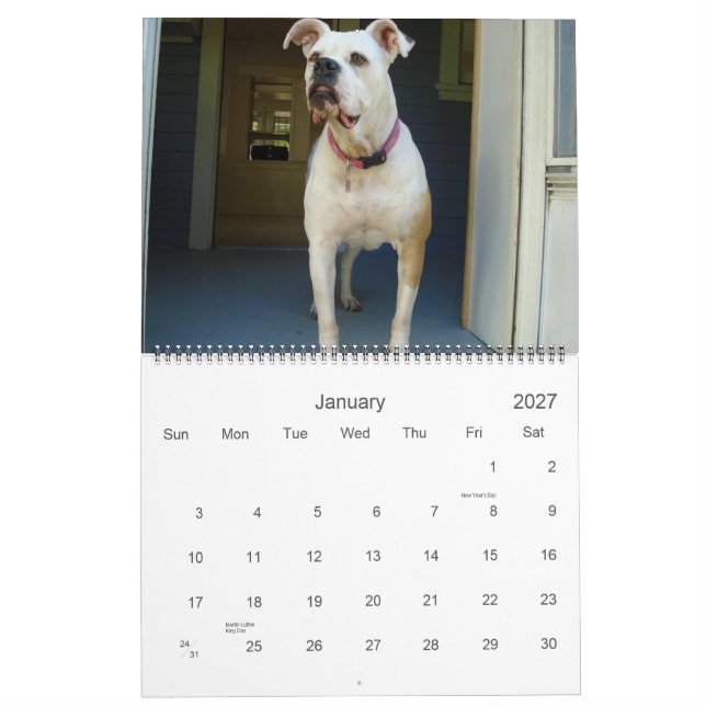 Mural Calendrier de bouledogue de 2010 Américains (Jan 2027)