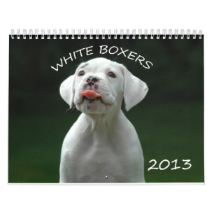 Mural Calendrier de boxeur de 2013 blancs