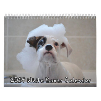 Mural Calendrier de boxeur de 2014 blancs