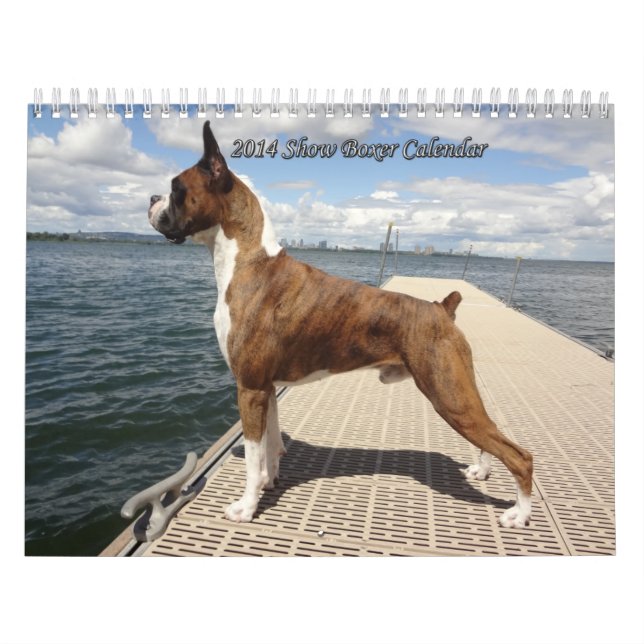 Mural Calendrier de boxeur de 2014 expositions (Protection)