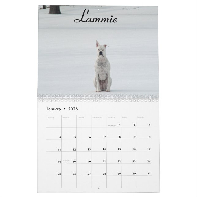 Mural Calendrier de boxeur de 2015 blancs (Jan 2026)