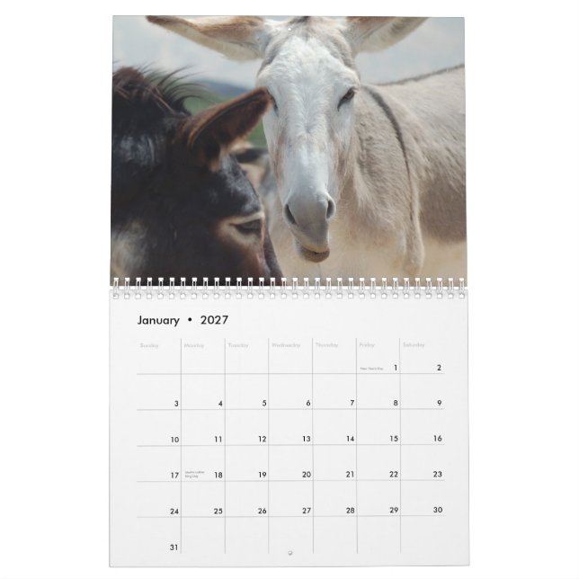 Mural Calendrier de Burro et de cheval (Jan 2027)