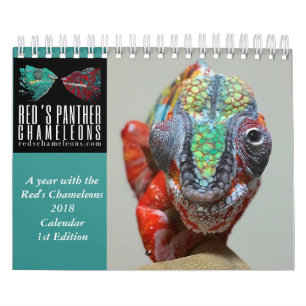 Mural Calendrier de caméléon