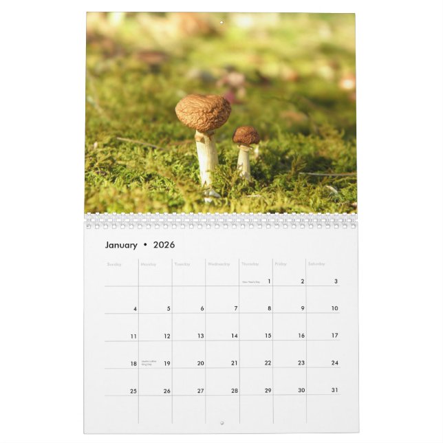 Mural Calendrier de champignon (Jan 2026)