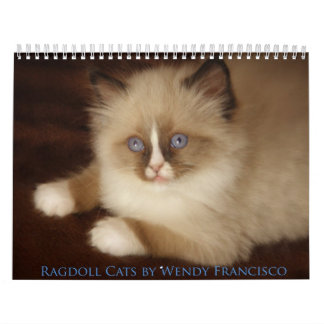 Mural Calendrier de chat de Ragdoll