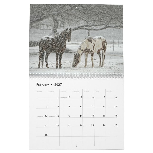 Mural Calendrier de cheval (Feb 2027)