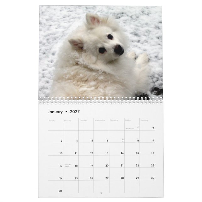 Mural Calendrier de chien (Jan 2027)