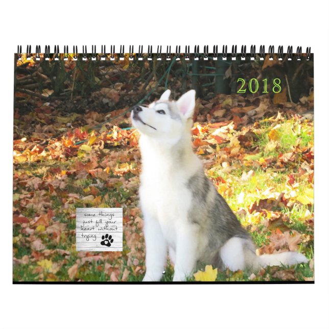 Mural Calendrier de chien de traîneau sibérien (Protection)