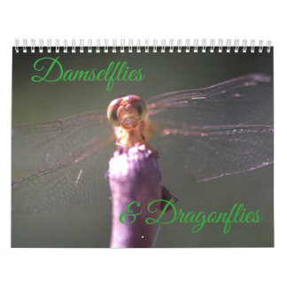 Mural Calendrier de Damselflies et de libellules