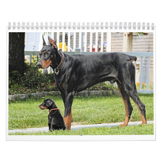 Mural Calendrier de dobermann