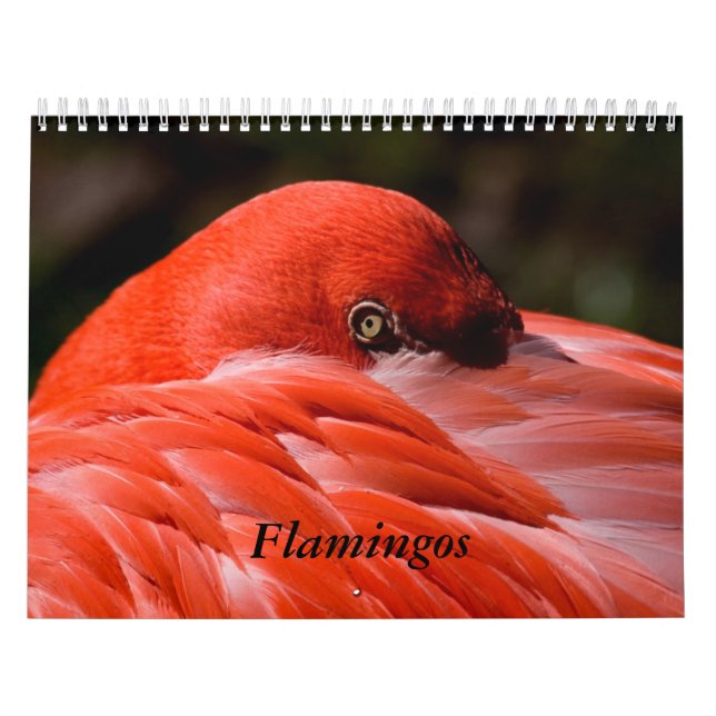 Mural Calendrier de Flamant rose (Protection)