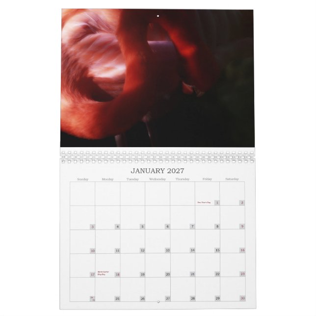 Mural Calendrier de Flamant rose (Jan 2027)