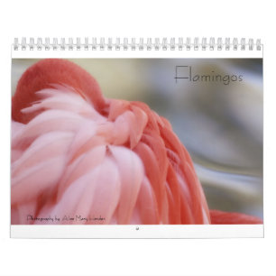Mural Calendrier de Flamant rose