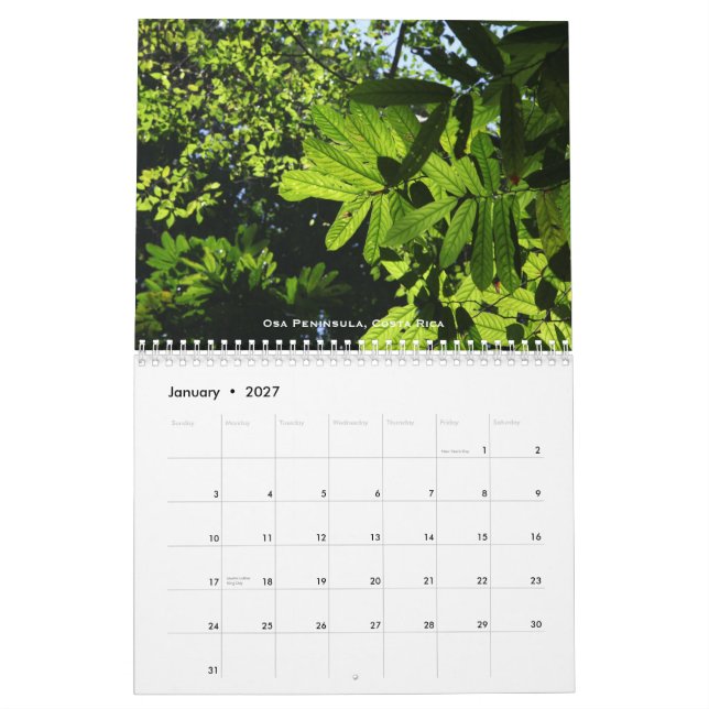 Mural Calendrier de forêts tropicales (Jan 2027)