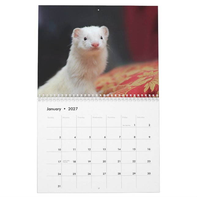 Mural Calendrier de furets - 4 - (Jan 2027)