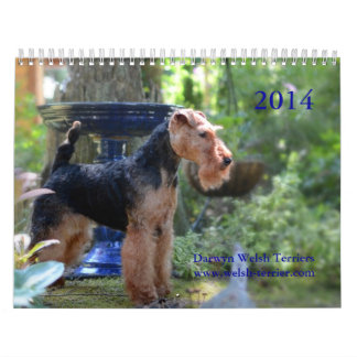 Mural Calendrier de gallois Terrier 2014 par Darwyn