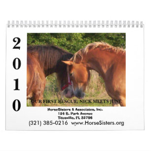 MURAL CALENDRIER DE HORSESISTERS 2010