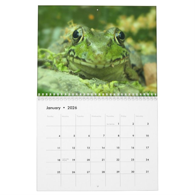 Mural Calendrier de la grenouille (Jan 2026)