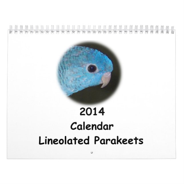 Mural Calendrier de la perruche 2014 de Linnie (Protection)