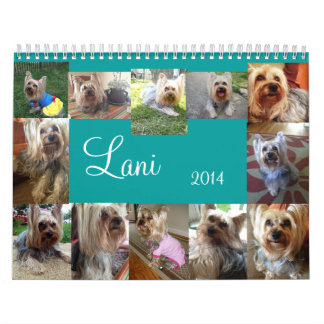 Mural Calendrier de Lanis 2014
