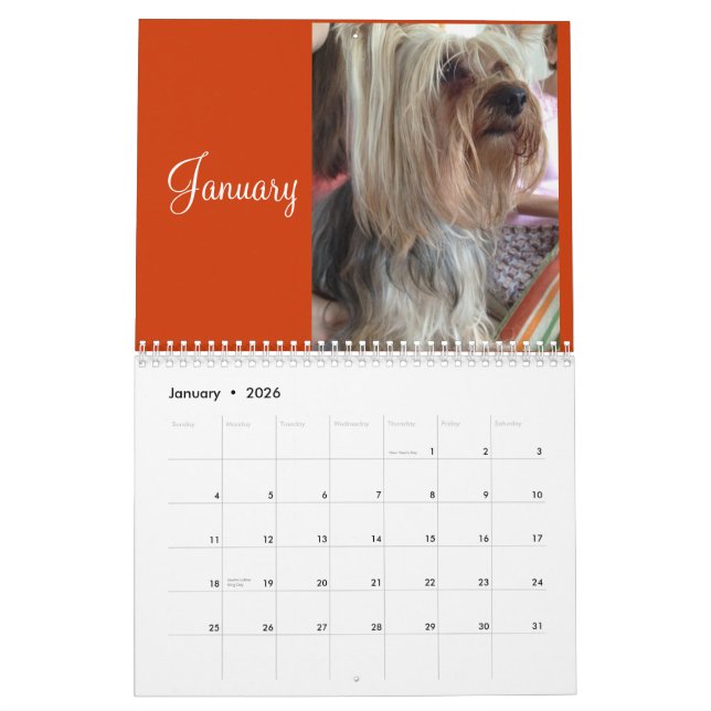 Mural Calendrier de Lanis 2014 (Jan 2026)