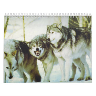 Mural Calendrier de loup