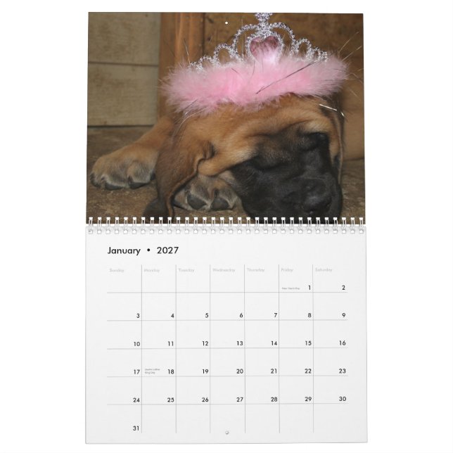 Mural Calendrier de mastiff (Jan 2027)