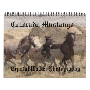 Mural Calendrier de mustangs du Colorado