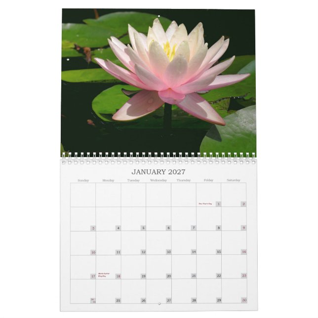 Mural Calendrier de nénuphar (Jan 2027)