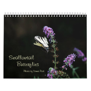 Mural Calendrier de papillons de machaon
