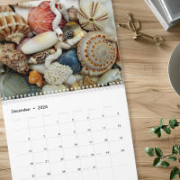 Calendrier de photographie de coquillages de l'ann
