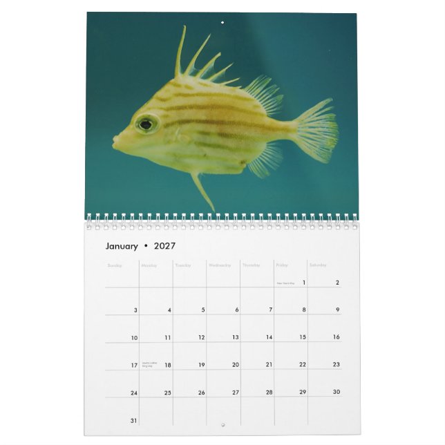 Mural Calendrier de photographie de faune d'océan (Jan 2027)