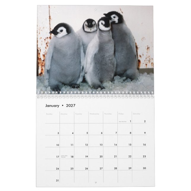 Mural Calendrier de pingouins (Jan 2027)