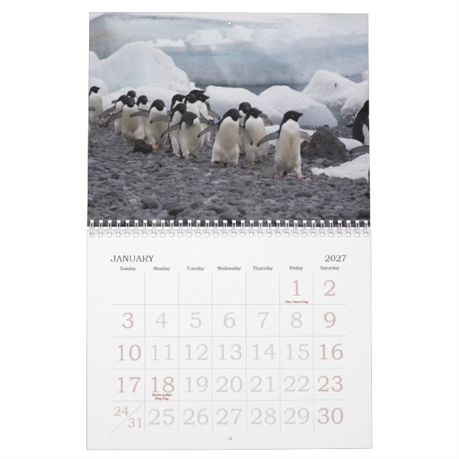 Mural Calendrier de pingouins de l'Antarctique (Jan 2027)