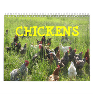 Mural Calendrier de poulets