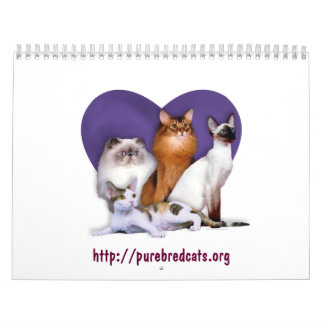 Mural Calendrier de race de délivrance de race de chat