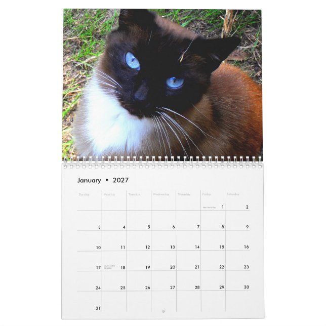 Mural Calendrier "de ranch de Caboodle" (Jan 2027)