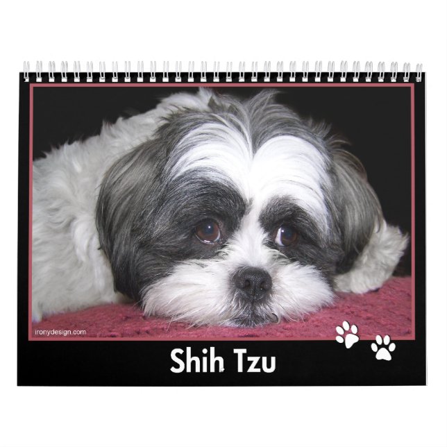 Mural Calendrier de Shih Tzu (Protection)