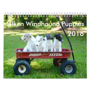 Mural calendrier de soie de 6 2016 chiots de Windhound
