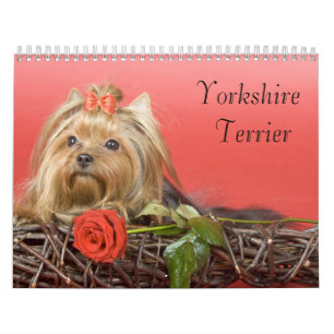 Mural Calendrier de Yorkshire Terrier