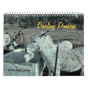 Mural Calendrier des ânes de Darling 24 mois