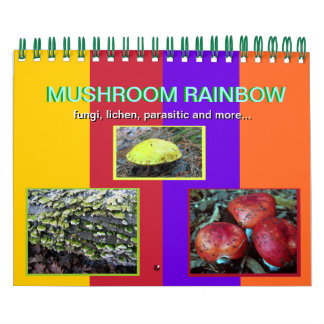 Mural Calendrier des champignons Rainbow 2012