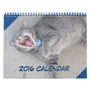 Mural Calendrier des chats et des chiens 2016