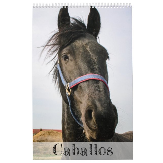 Mural Calendrier des chevaux... (Protection)